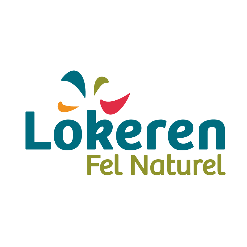 Logo Stad Lokeren